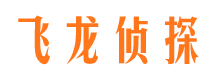 亚东市侦探公司